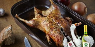 Svátek mladého vína je tady!!!