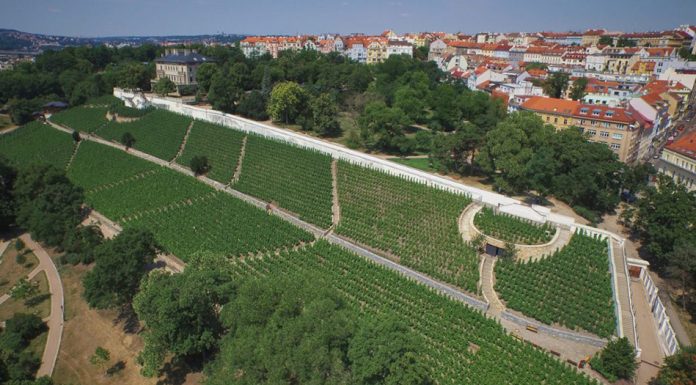 Vinice pod stovkou věží