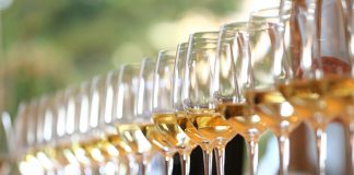 Tipy na vinařské akce – 43. týden