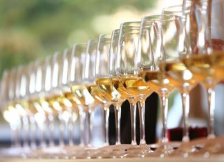 1000 Top vín světa – 25 je z Česka