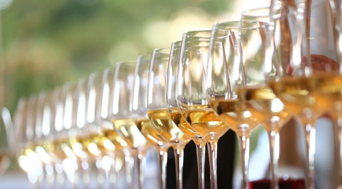 1000 Top vín světa – 25 je z Česka