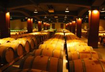 Kam v listopadu za vínem ???