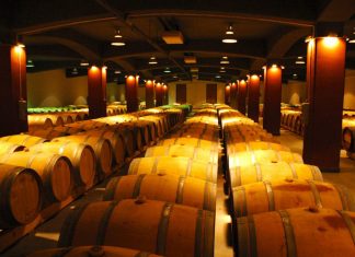 Kam v listopadu za vínem ???