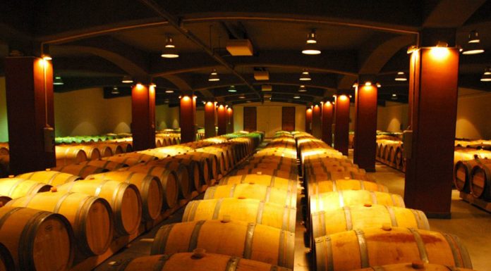 Kam v listopadu za vínem ???