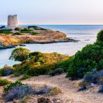 dreamstime_xxl_98881615-1030×686