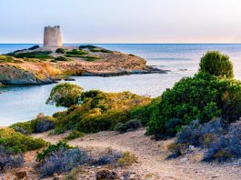 Skvělé víno a gastronomie, to je jižní Sardinie