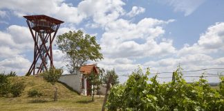 Rozhledna Slunečná