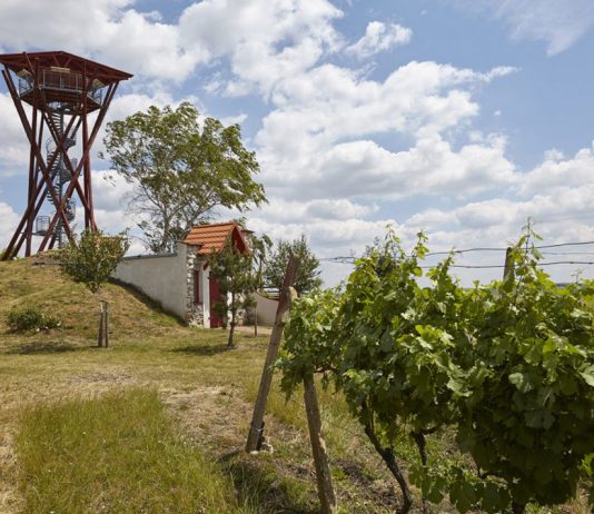 Rozhledna Slunečná