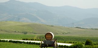 Velký prezentační večer bulharských vín v Praze