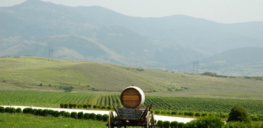 Velký prezentační večer bulharských vín v Praze