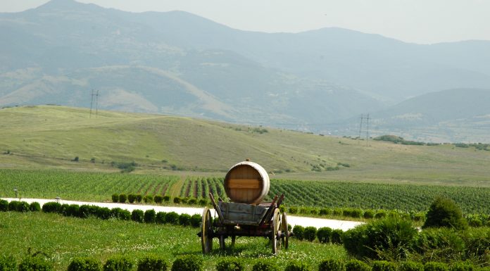 Velký prezentační večer bulharských vín v Praze