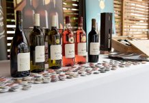 Tipy na vinařské akce – 20. týden