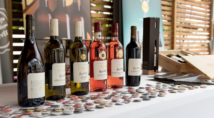 Tipy na vinařské akce – 20. týden