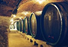 Tipy na vinařské akce – 12. týden