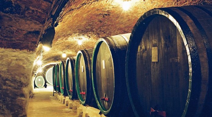 Tipy na vinařské akce – 12. týden