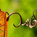 101011_132719_360x239