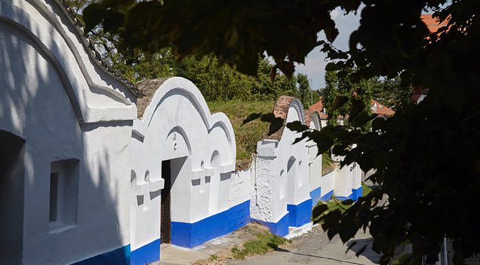 Tipy na vinařské akce – 18. týden