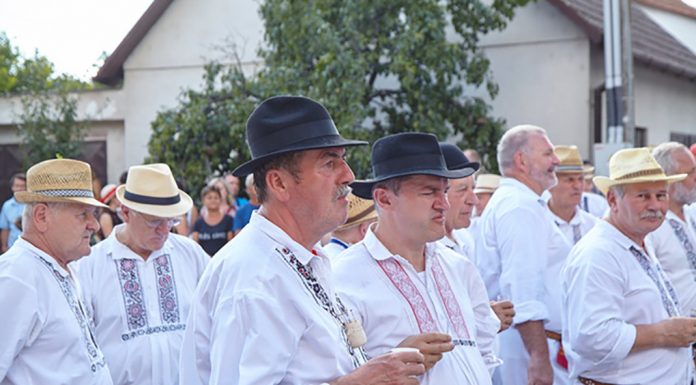 Tipy na vinařské akce – 28. týden