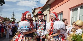 Tipy na vinařské akce – 14. týden