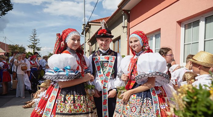 Kam v červnu za vínem…