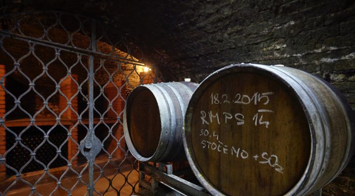 Putování po otevřených sklepech