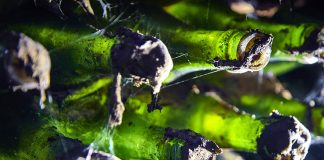 Na cestě za velkým vínem…