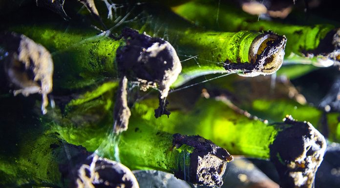 Na cestě za velkým vínem…