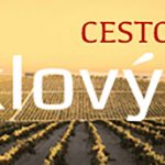 CESTOVANI2