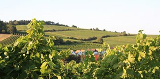 Podzim v Dolním Rakousku