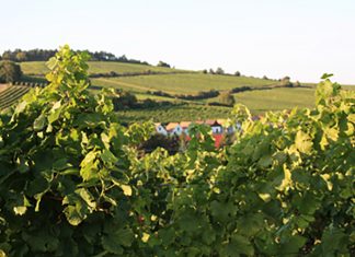 Podzim v Dolním Rakousku