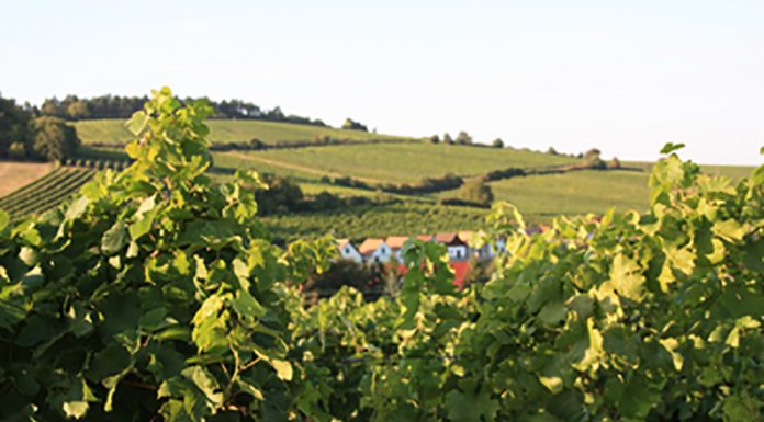 Podzim v Dolním Rakousku