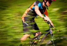 1200 kilometrů  mezi bobulemi