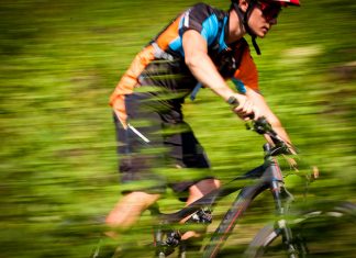 1200 kilometrů mezi bobulemi