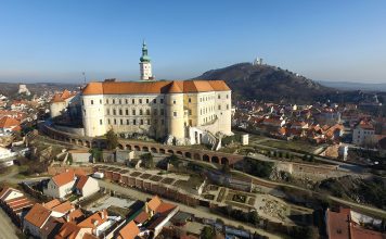 CO JE VÍC, NEŽ MOŘE? DRUHÁ DOVOLENÁ NA NAŠICH VINICÍCH