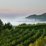 Podzim-dolní-Rakousko_Traisental_c_Niederoesterreich-Werbung_Schwarz-Koenig