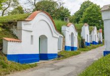 Vinařská „Stínadla“ aneb kouzlo sklepních uliček