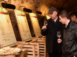 Salon vín ČR je nejpopulárnějším TOP vinařským cílem roku 2017