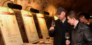 Salon vín ČR je nejpopulárnějším TOP vinařským cílem roku 2017