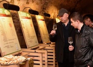 Salon vín ČR je nejpopulárnějším TOP vinařským cílem roku 2017