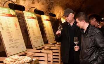 Salon vín ČR je nejpopulárnějším TOP vinařským cílem roku 2017