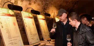 Tipy na vinařské akce – 3. týden