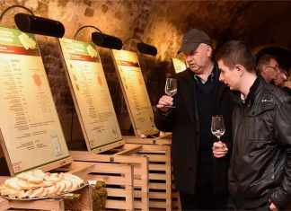 Tipy na vinařské akce – 3. týden