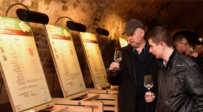 Tipy na vinařské akce – 3. týden