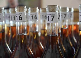 NENÍ CUVÉE JAKO CUVÉE