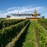 WEB_SONBERK_DSC00976-kopie