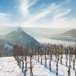 Tipy na vinařské akce – 47. týden