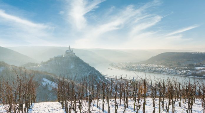 Tipy na vinařské akce – 47. týden