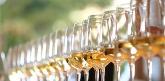 Národní soutěže vín 2018