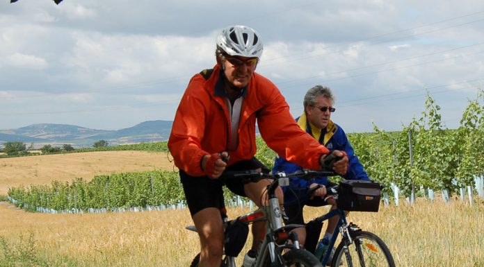 Za Veltlínem na Znojemsko!