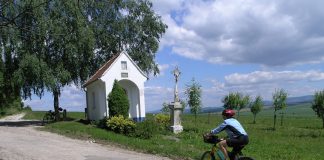 Tipy na vinařské akce – 33. týden